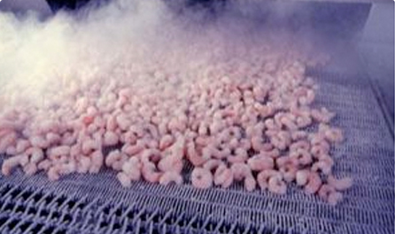 alimentos-congelados